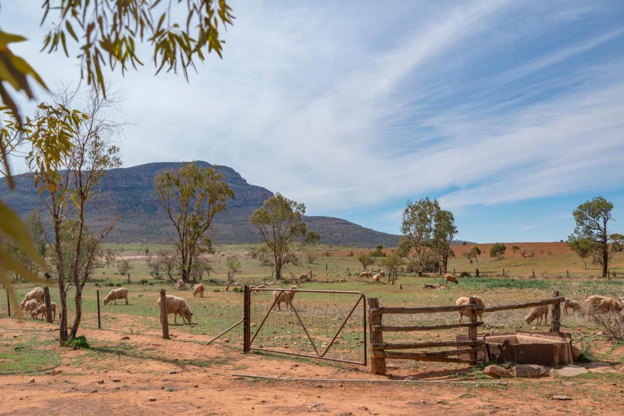 ホテル Rawnsley Park Station Flinders Ranges エクステリア 写真
